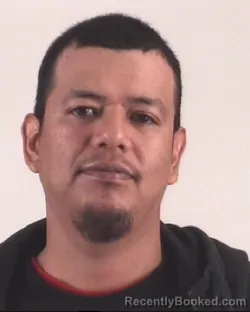 Mugshot of GUADALUPE GONZALEZ