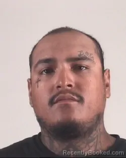 Mugshot of David Cardoza