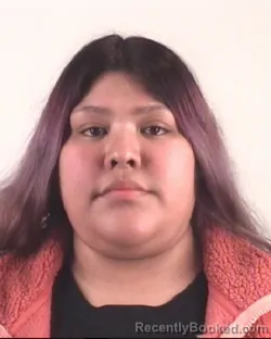 Mugshot of YAJAIRA MENDEZ