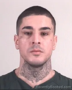 Mugshot of WALDEMAR RAMOS