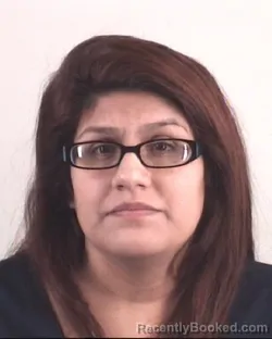 Mugshot of VANESSA MENDEZ