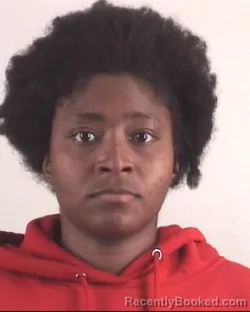 Mugshot of LEANNA JOHNSON