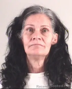 Mugshot of KARI DAVIS