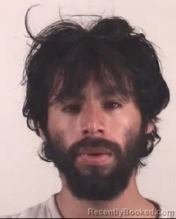 Mugshot of JESUS GUERRA