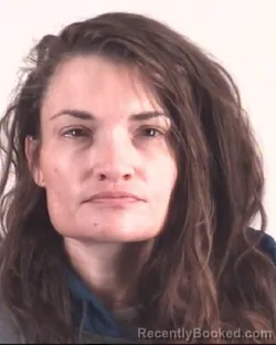 Mugshot of MEAGAN LEE