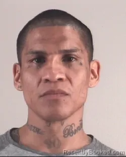 Mugshot of ISAI CUARENTA