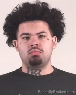Mugshot of JAMISH ATKINS