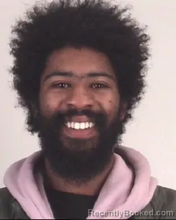 Mugshot of STEFFAN JACKSON