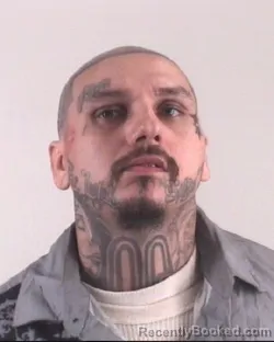 Mugshot of PATRICK HERNANDEZ