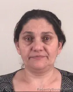 Mugshot of ILEANA RAZMIAS