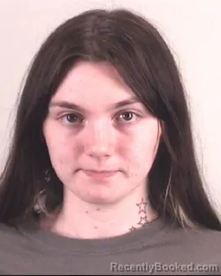 Mugshot of ALLIE TEDDER