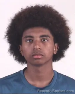 Mugshot of ADRIAN HUNT