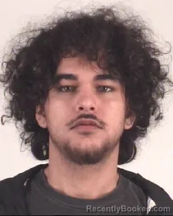 Mugshot of TAVIAN FEHRENBACH