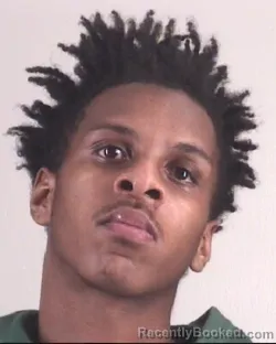 Mugshot of DAKOTA CHAPMAN