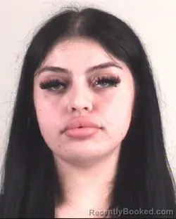Mugshot of MAYRA MEZA
