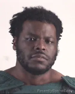 Mugshot of ROBERT YOUNG