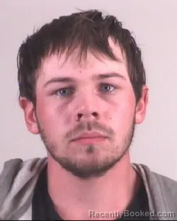 Mugshot of ALEX WELLS