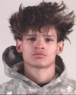 Mugshot of JORDAN MATA