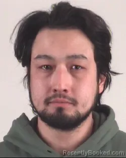 Mugshot of BRANDON WONG