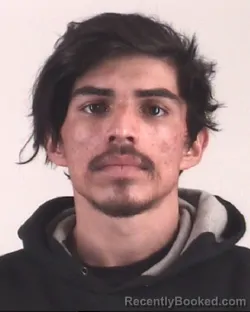 Mugshot of FERNANDO PORTALES