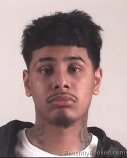Mugshot of MISAEL MEDINA
