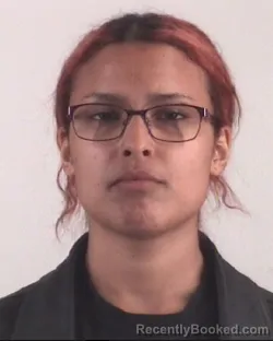 Mugshot of ALEXIS CASTORENO