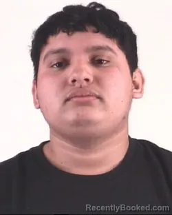 Mugshot of JOSE PORTILLOSANCHEZ