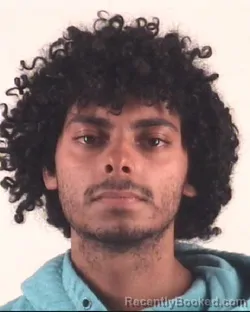 Mugshot of DANIEL PADAVIN