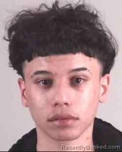 Mugshot of CALEB WESTON