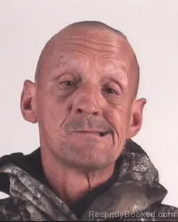 Mugshot of DAVID LOVITT