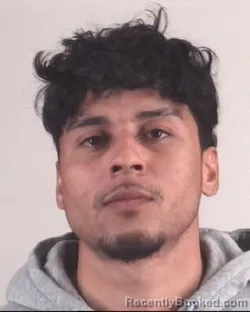 Mugshot of DAVID RIVASJIMENES