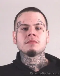 Mugshot of BRADLEY THOMPSON