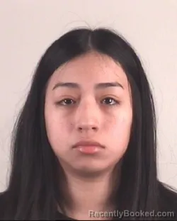 Mugshot of MARIA JIMENEZ
