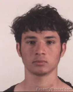 Mugshot of FERNANDO CASTELLON