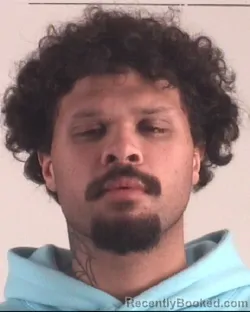 Mugshot of TEDDY MULLINS