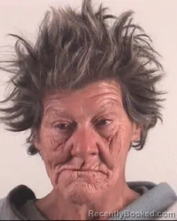 Mugshot of MINNIE TAYLOR booked in Tarrant County, Texas on March 28, 2026