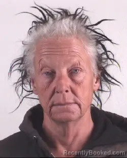 Mugshot of REBECCA HORAK booked in Tarrant County, Texas on March 29, 2026