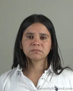 Mugshot of ROSMERY MENDOZAGOMEZ booked in Tarrant County, Texas on July 3, 2026