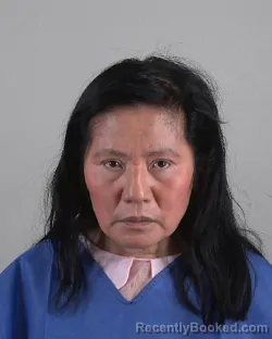 Mugshot of PINGLAN LI booked in Tarrant County, Texas on July 4, 2026