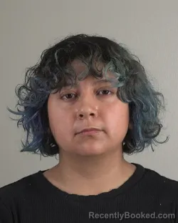 Mugshot of Emily Hernandez booked in Tarrant County, Texas on August 18, 2026