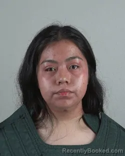 Mugshot of Lizbeth Hernandez booked in Tarrant County, Texas on October 29, 2026