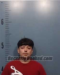 Booking photo from Taylor County, Texas