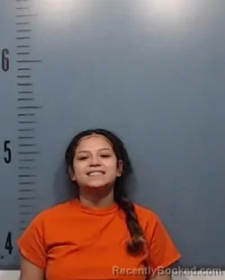 Booking photo from Taylor County, Texas
