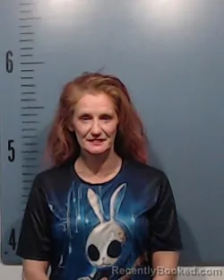 Mugshot of Amanda June Gootee