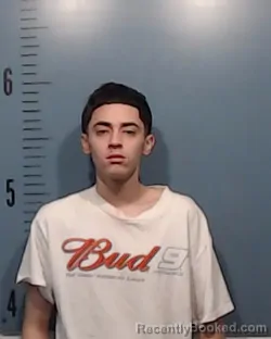 Mugshot of Giovani Arreola