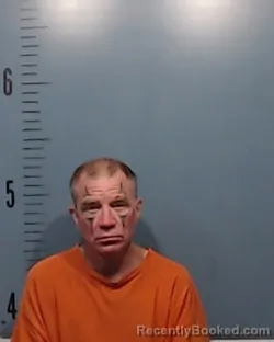 Mugshot of Marty Lynn Stringer