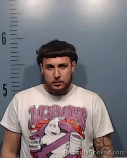 Mugshot of John Abram Long