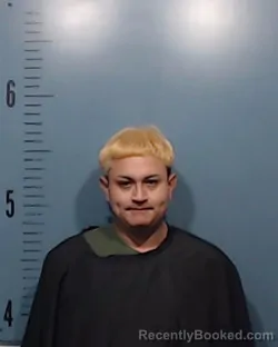 Mugshot of Hector Ismael Anaya