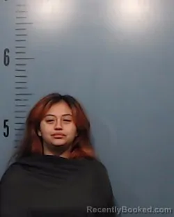 Mugshot of Bianey Santana Torres