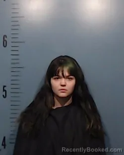 Booking photo from Taylor County, Texas